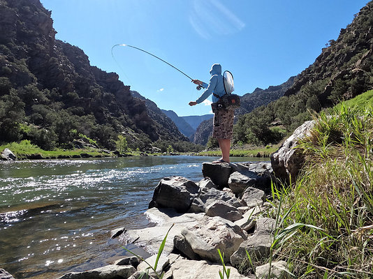 Fishing037 - 1006 Top of the World 

Listing - Allison Templin