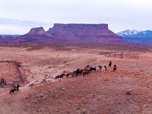 Harleys Ranch-17