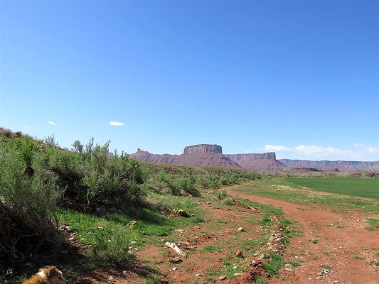Harley&apos;s Ranch 020