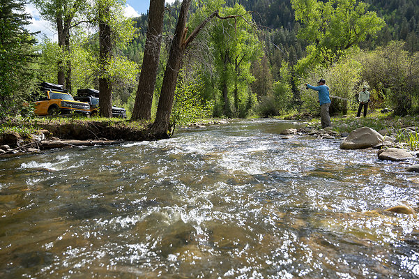 Fishing017 - 1006 Top of the World 

Listing - Allison Templin