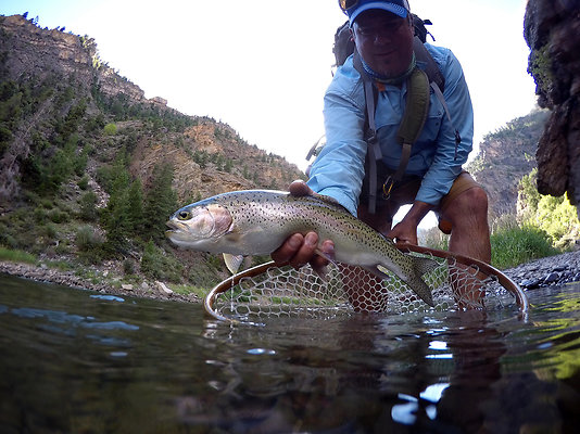 Fishing038 - 1006 Top of the World 

Listing - Allison Templin