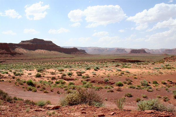 Valley Of The GODS 014 - 1006 Top of the World 

Listing - Allison Templin