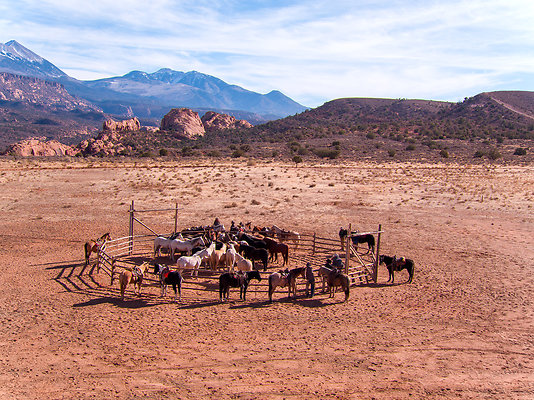 Harleys Ranch-21