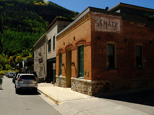 Telluride Town 036 - 1006 Top of the World 

Listing - Allison Templin