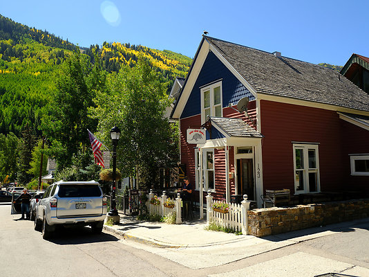 Telluride Town 051 - 1006 Top of the World 

Listing - Allison Templin