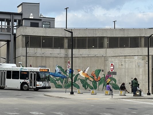 IMG 0778 2