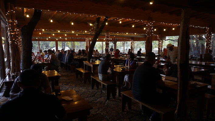 The Salt Lick