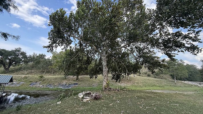 IMG 1776 - www.scout911.com