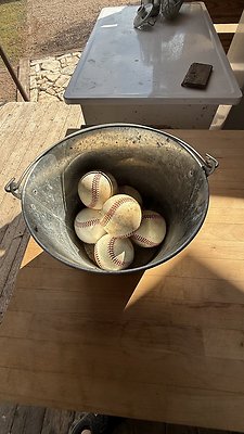 IMG 4379