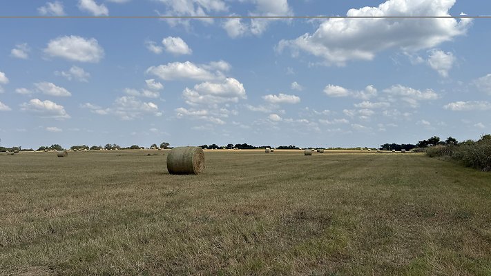 IMG 2536
