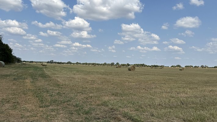 IMG 2535