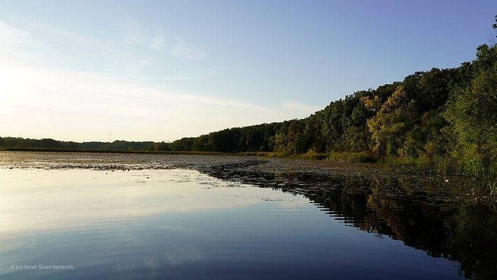 Main Dock - Beach 29