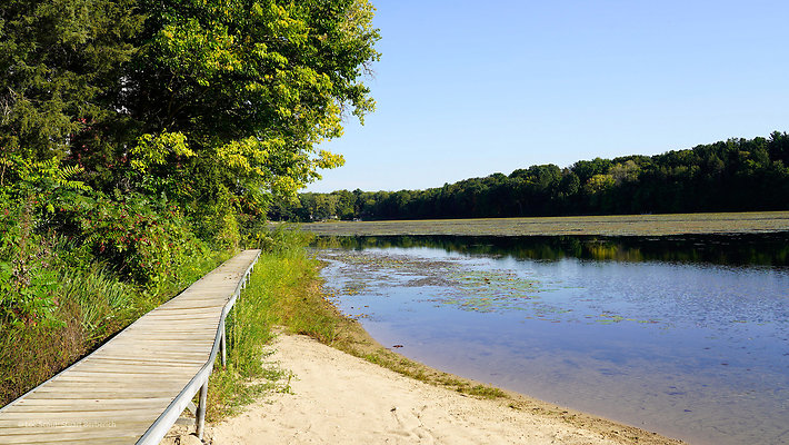 Main Dock - Beach 8
