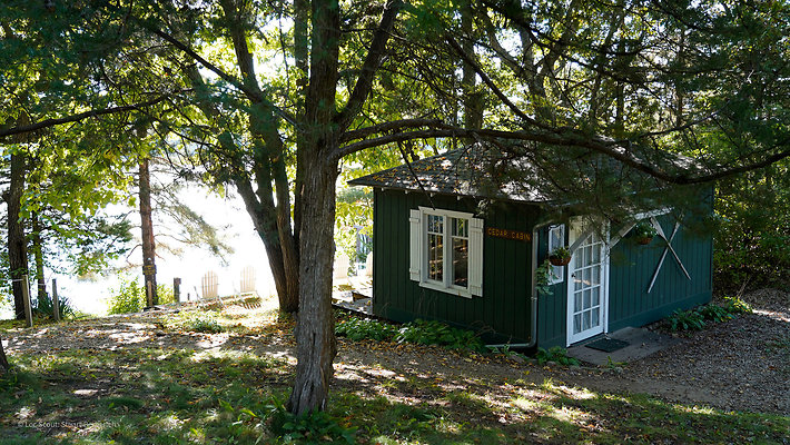 Cedar Cabin 8