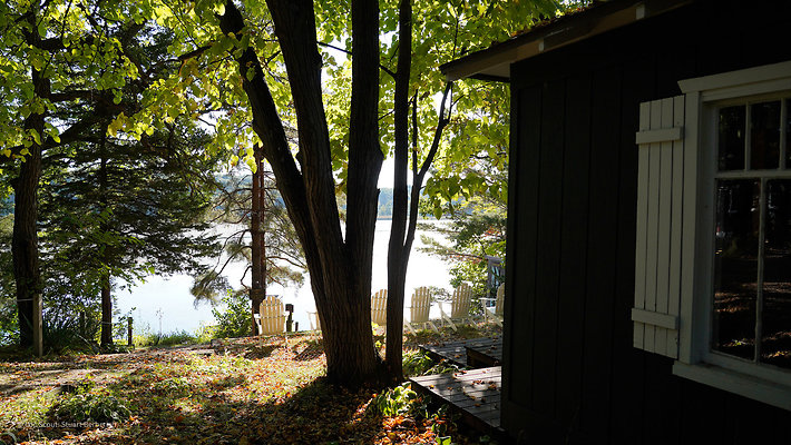 Cedar Cabin 10