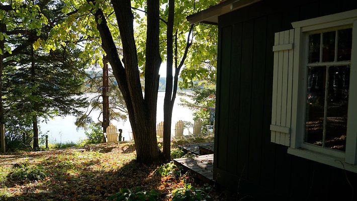 Cedar Cabin 9