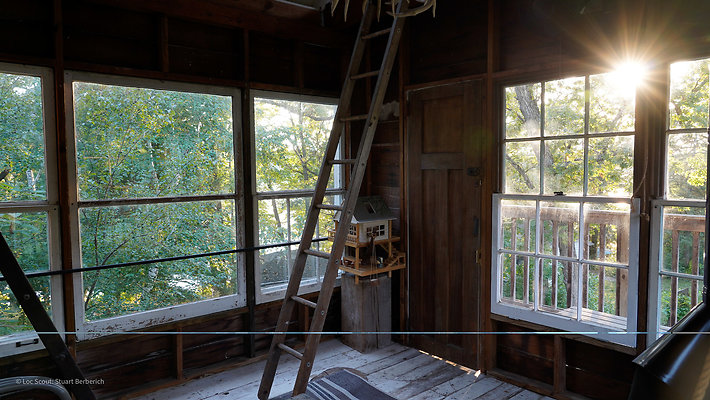 Treehouse 5