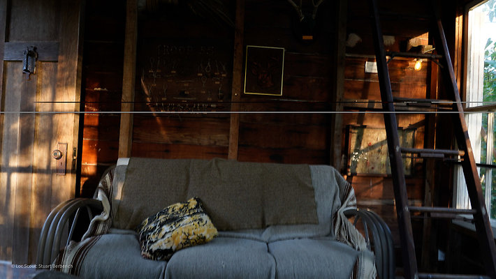 Treehouse 7