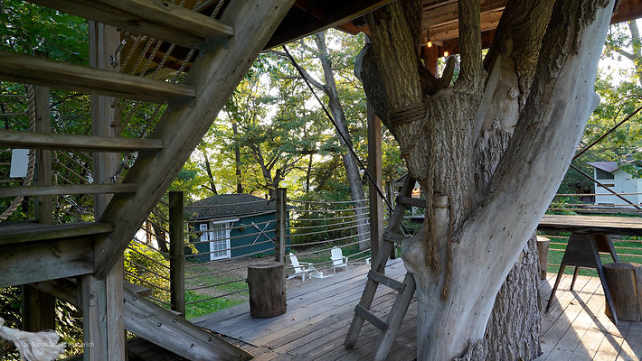 Treehouse