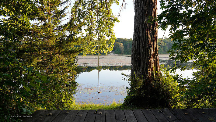 Rope Swing 5