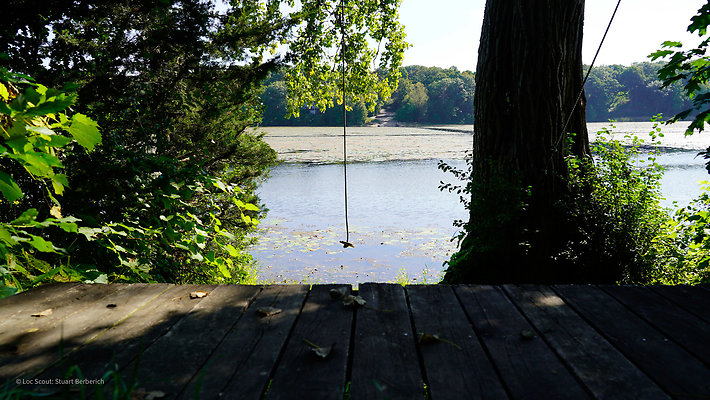Rope Swing