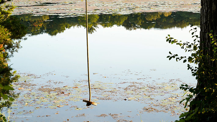 Rope Swing 4