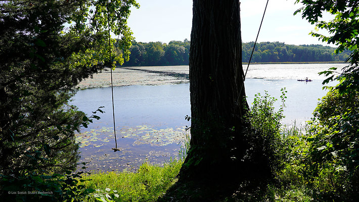 Rope Swing 2