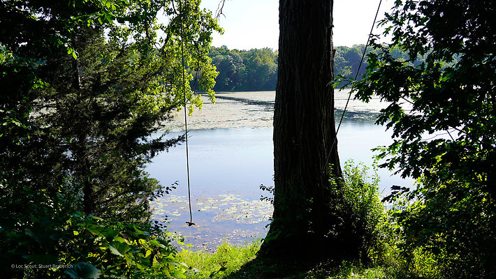 Rope Swing 3