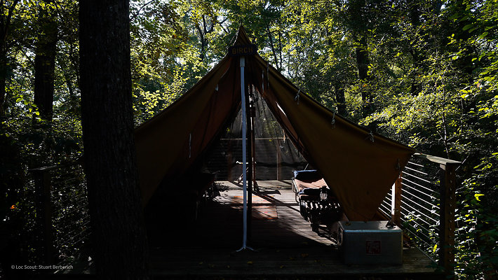 Wedge Tents 9