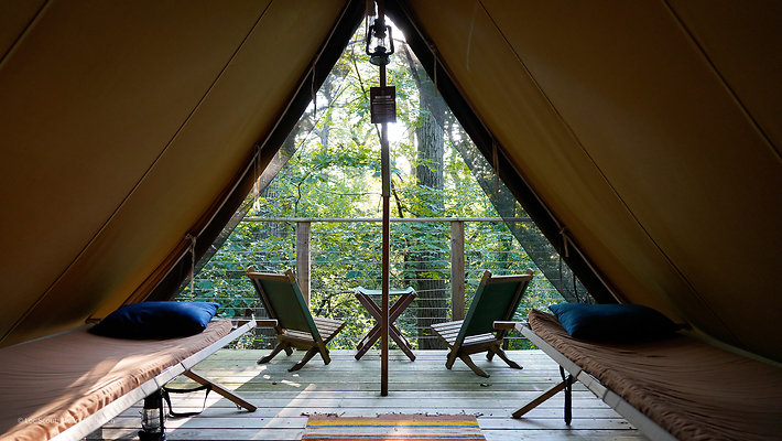 Wedge Tents 5