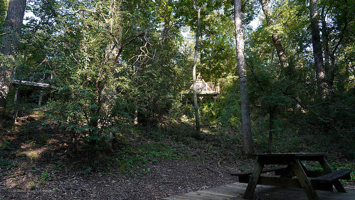 Wedge Tents 11
