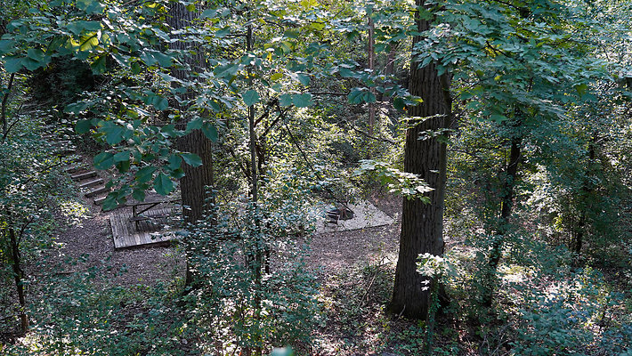 Wedge Tents 8