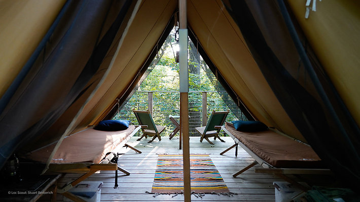 Wedge Tents 4