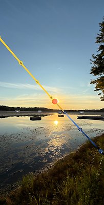 Suntracker 7