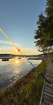 Suntracker 8