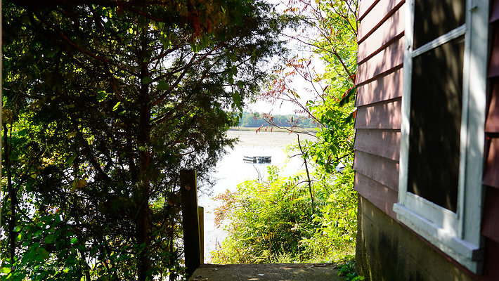 Lakeview Cabin 6