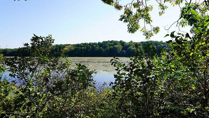 Lakeview Cabin 11