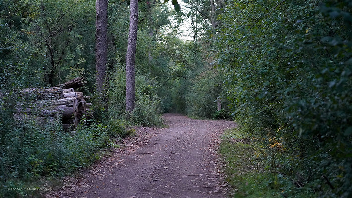 Trails 9