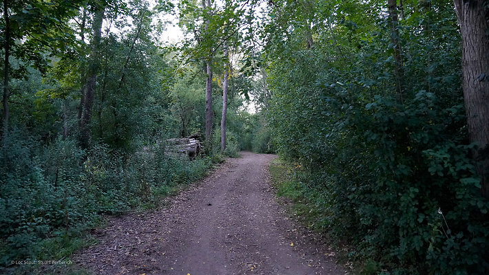 Trails 8
