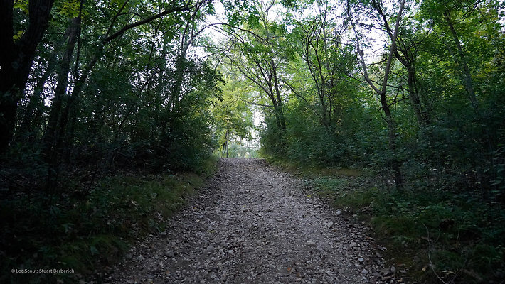 Trails 3