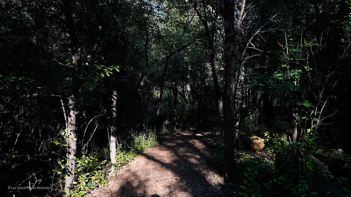 Trails