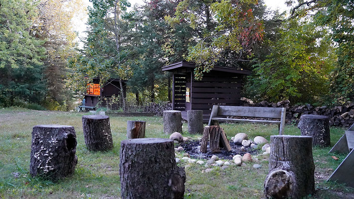 Bonfire 7