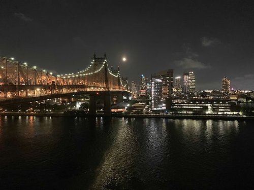 NYC 319 AR