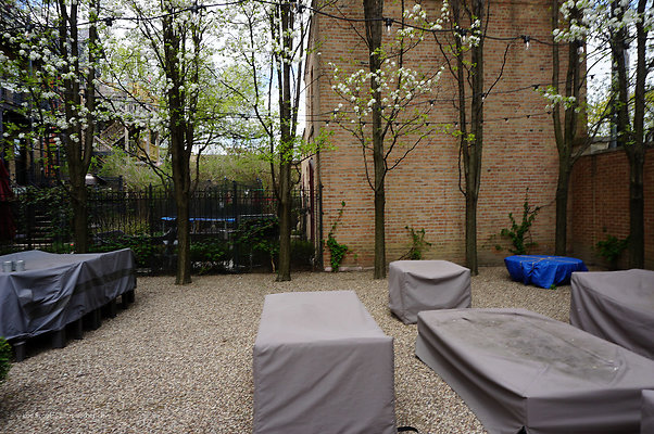 1417 N Hoyne 6