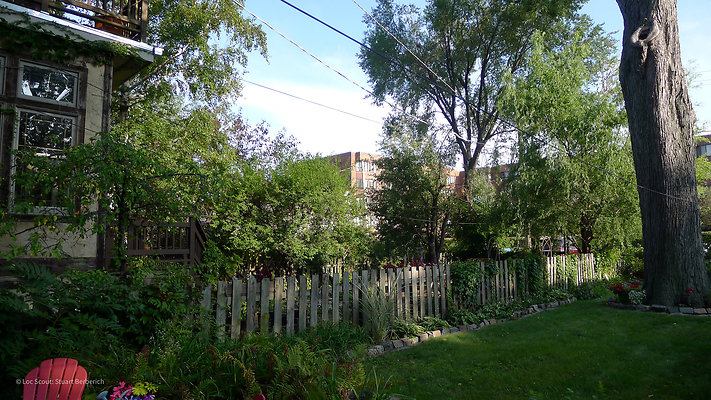 1521 W Jackson 10