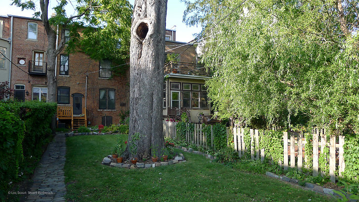 1521 W Jackson 6