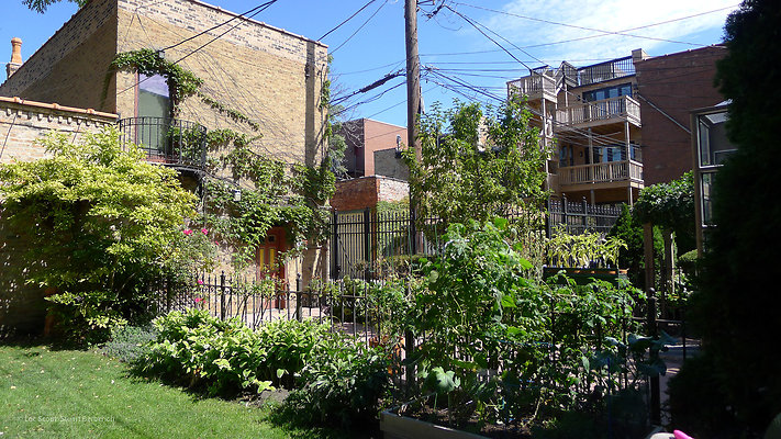 1516 W Jackson 5