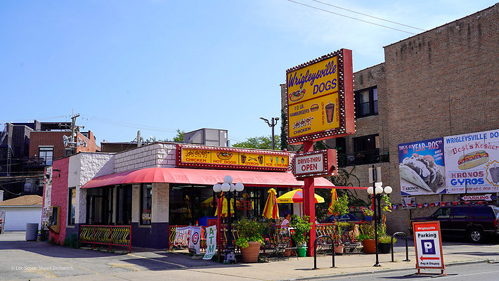 Wrigleyville Dogs 5