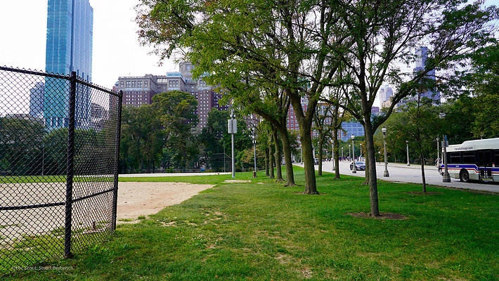 Grant Park Softball Fields 3