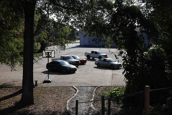 Linear Park 0027